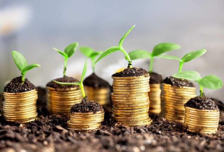 Coins in soil with young plants on background